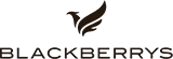 Blackberrys, Bistupur